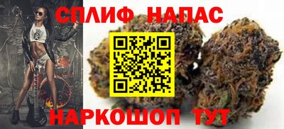 бошки Будённовск